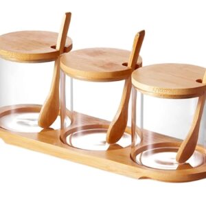Recipiente condimente sticla cu linguriuta, 3 pc